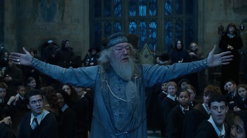 Albus Dumbledore14