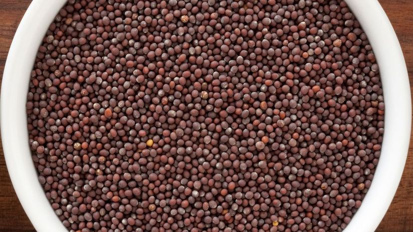 27 Brown mustard seeds GettyImages-175494643