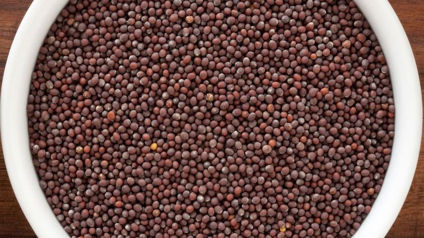 27 Brown mustard seeds GettyImages-175494643
