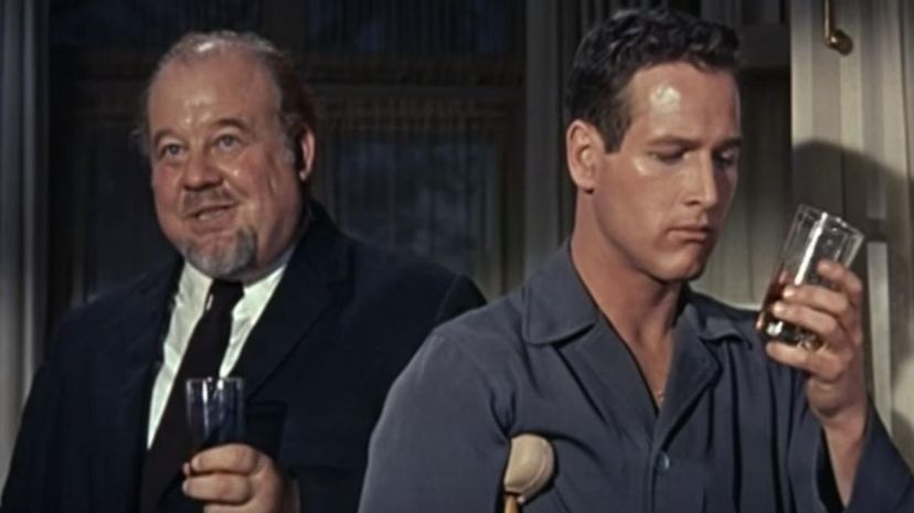 &quot;Cat on a Hot Tin Roof&quot;