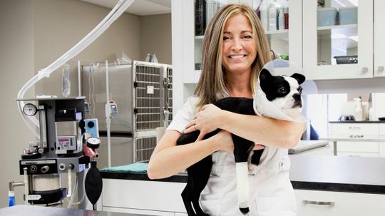 Should You Get Pet Insurance?