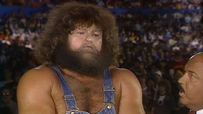 Question 28 - Hillbilly Jim