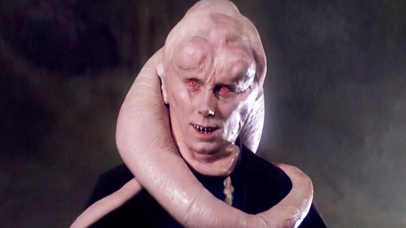 Bib Fortuna