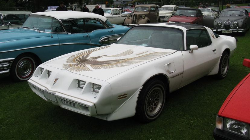 35-Pontiac_Firebird_Trans_Am_Turbo_1981_(14485831957)