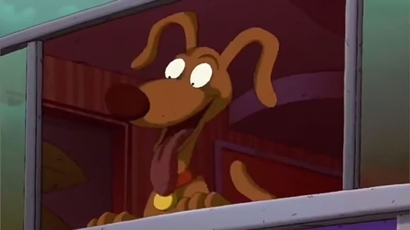 Spike