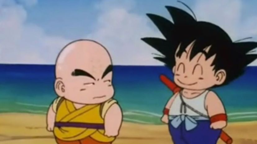 Goku and Krillin