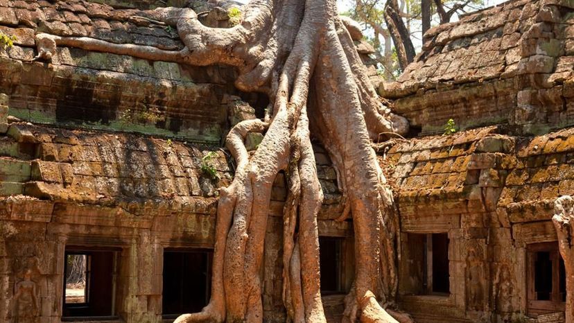 Ta Prohm