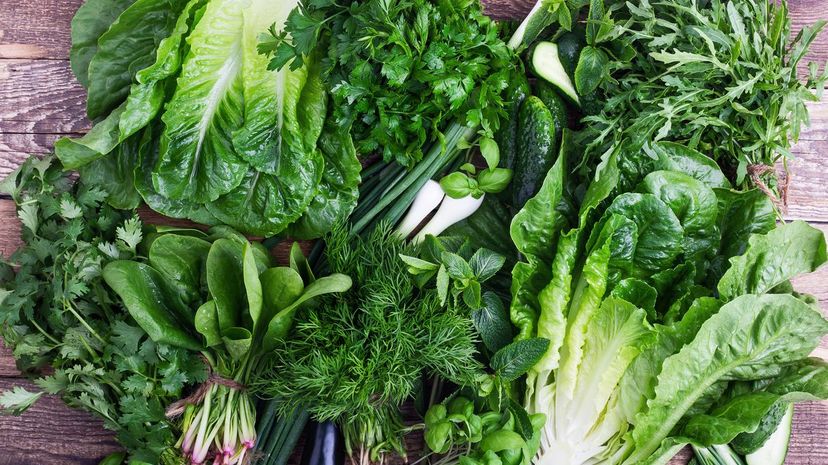 Can You Identify All of These Leafy Greens From a Description?