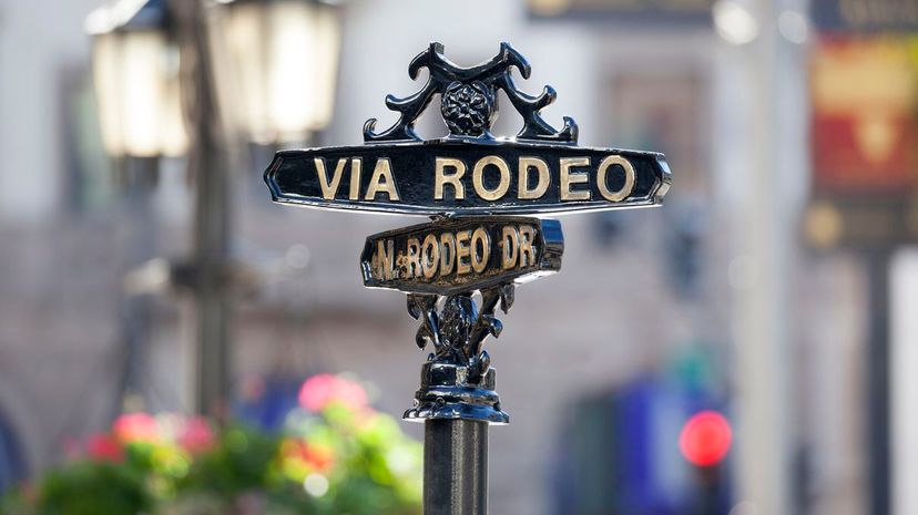 29_Rodeo Drive