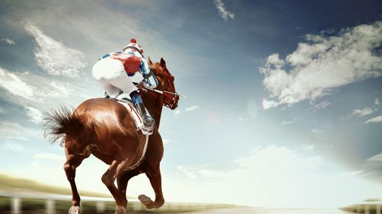 How Much Do You Know About Thoroughbred Horses?