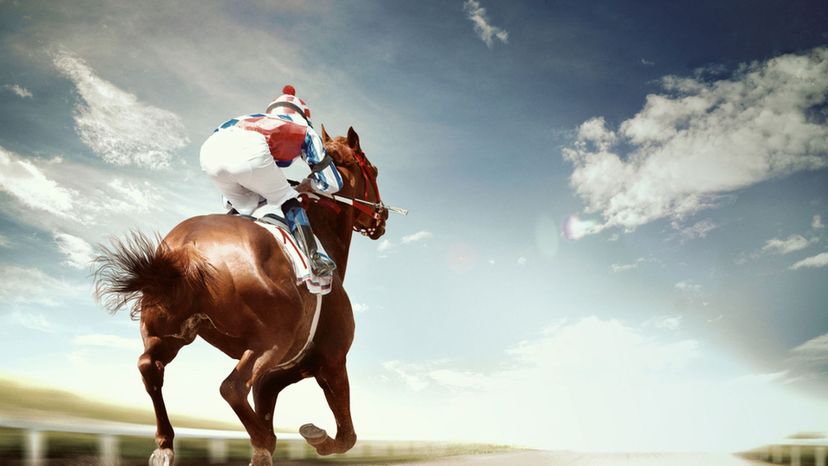 How Much Do You Know About Thoroughbred Horses?