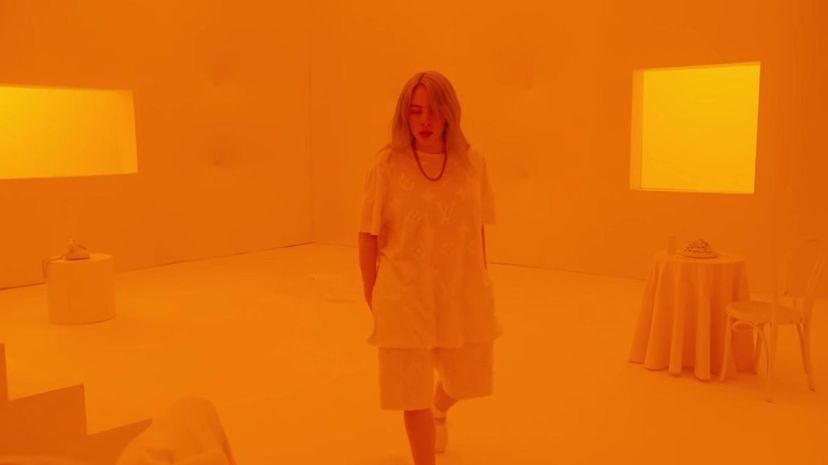 26 - Billie Eilish - hostage