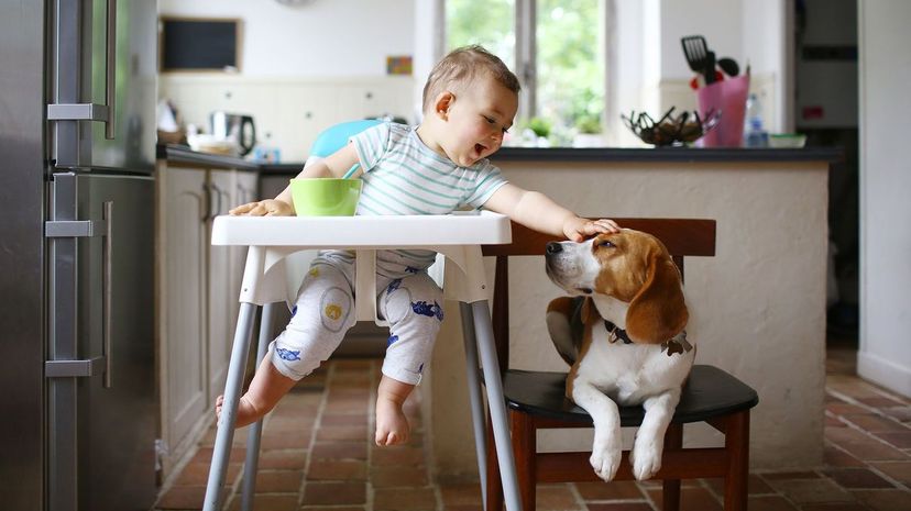 37 boy petting dog GettyImages-645385043