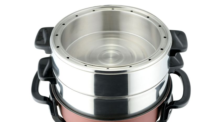 Food steamer