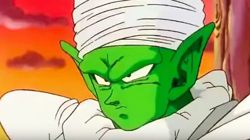 Which &quot;Dragon Ball Z&quot; Character do you remind people of?