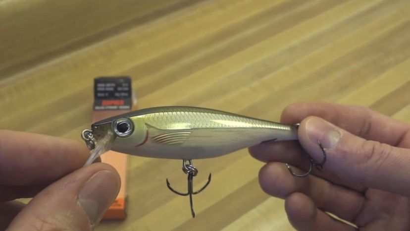 minnow lure