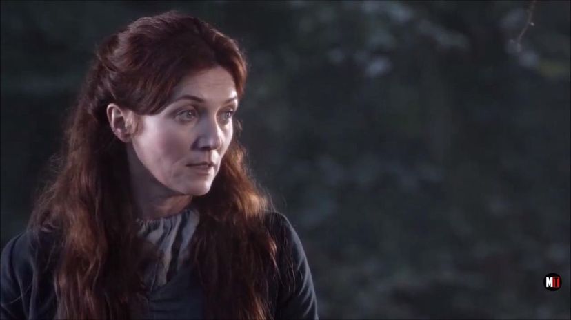 #13 Catelyn Stark