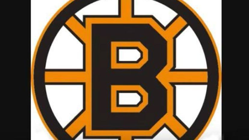 The Bruins