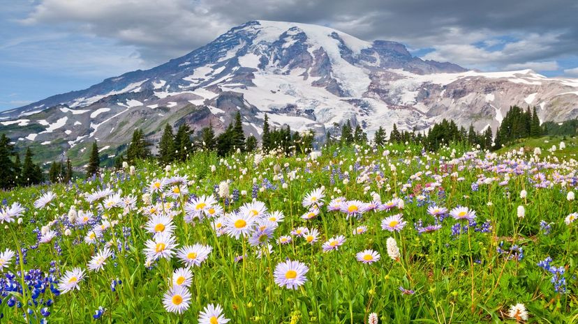 Mount Rainier National Park