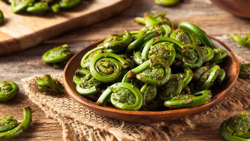 Fiddleheads