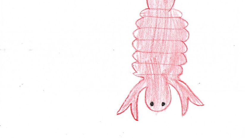 Lobster