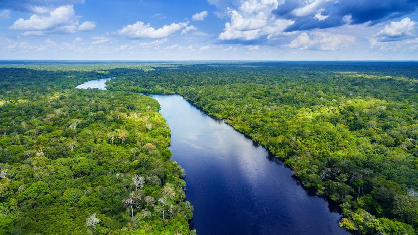 #1 Amazon River