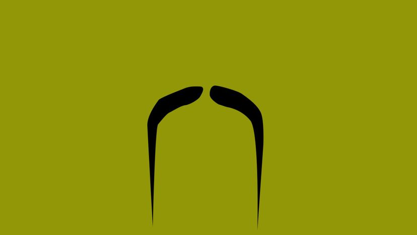 Can You Name the Style of These Movember Mustaches? | HowStuffWorks