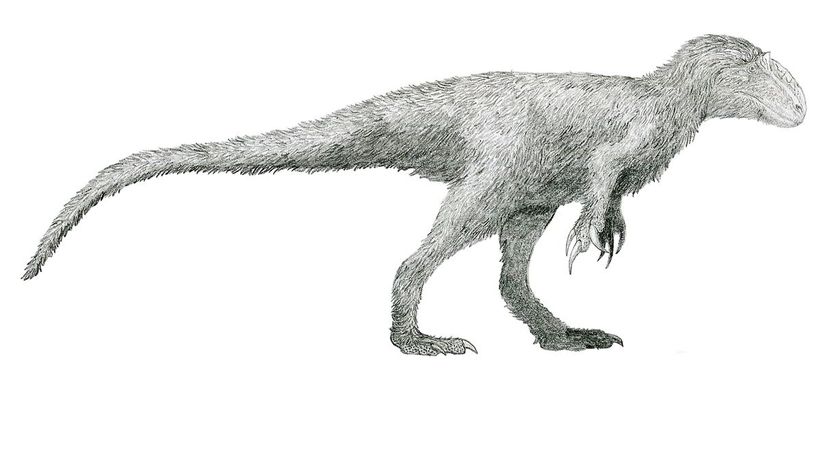 Yutyrannus