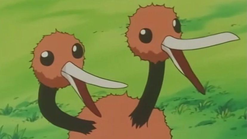 Doduo