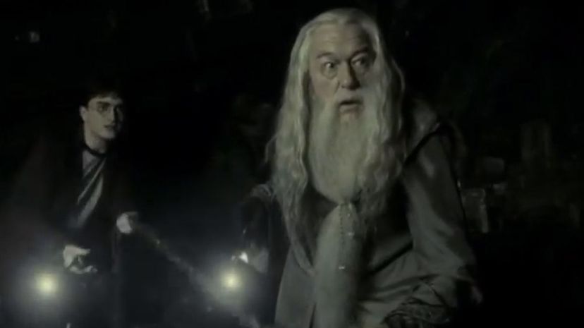 Albus Dumbledore8