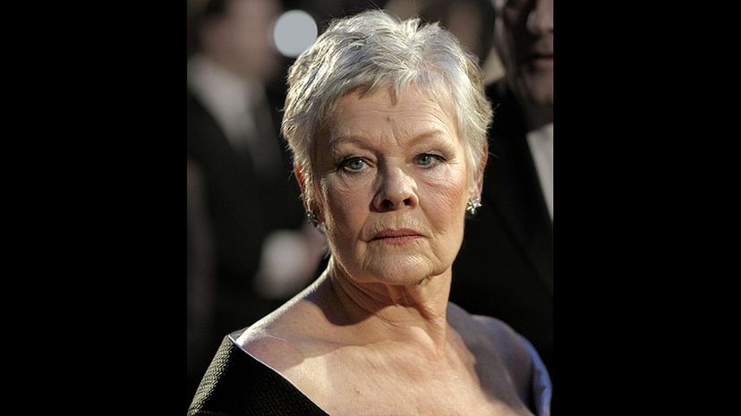 Judi Dench