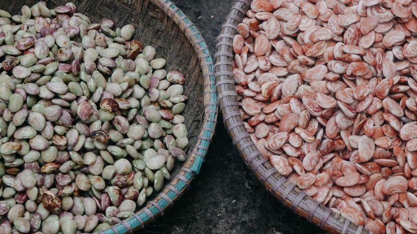 20 bean”border=