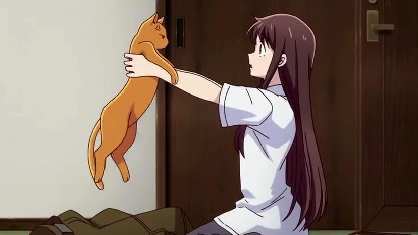 Fruits basket  Você Sabia Anime