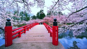 Can You Name All the Countries in the Northern Hemisphere 1