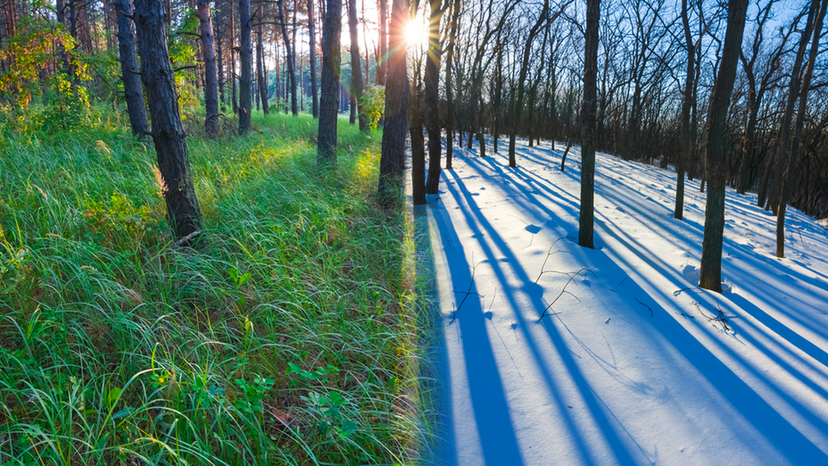 Are you a Winter Person or a Summer Person?