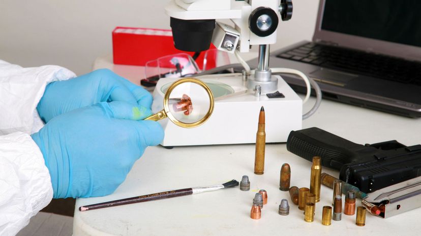 Could You Be a Forensic Examiner?