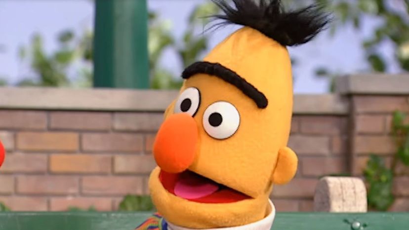 Bert