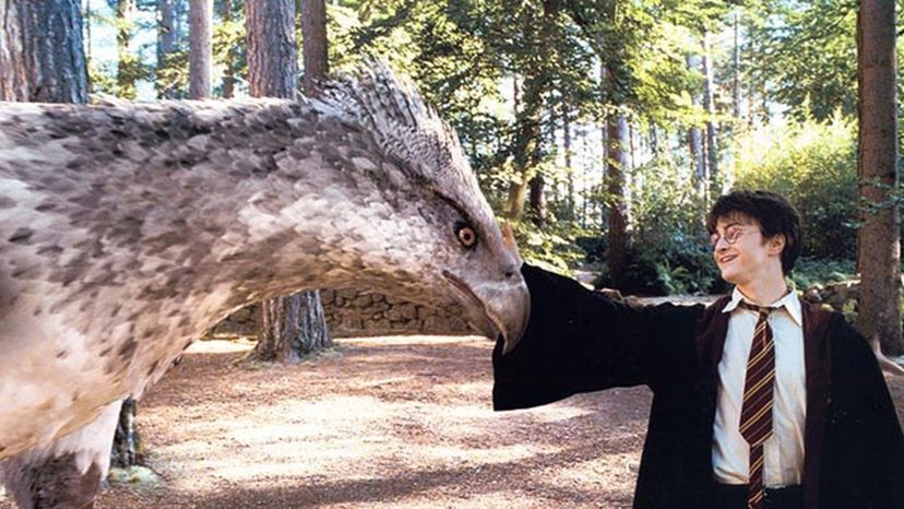 El máximo quiz de Harry Potter