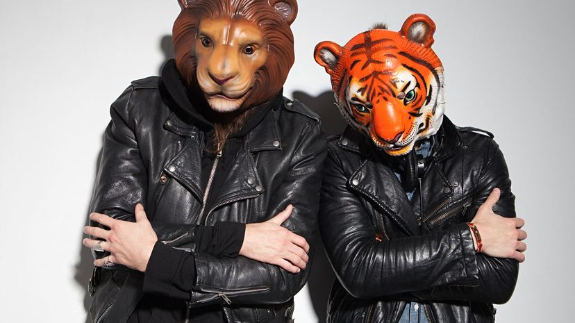 Lion &amp; Tiger Masks