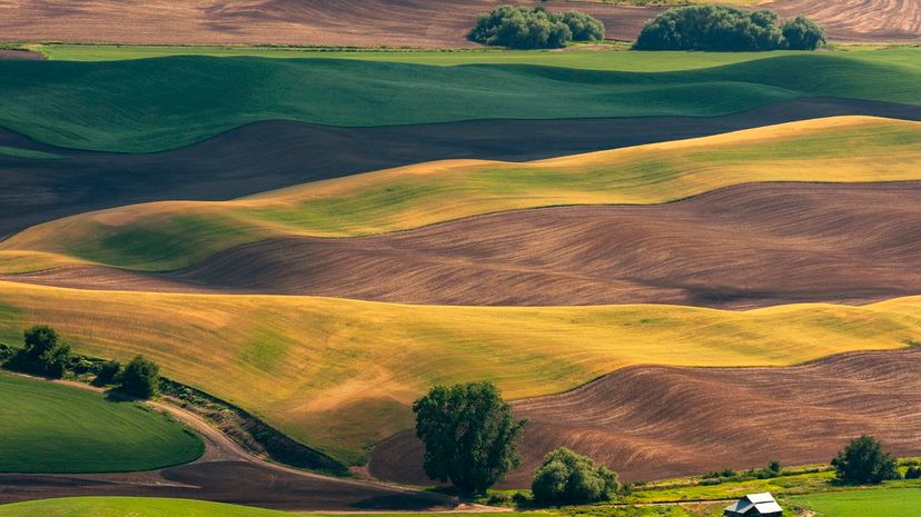 Farmland Hills