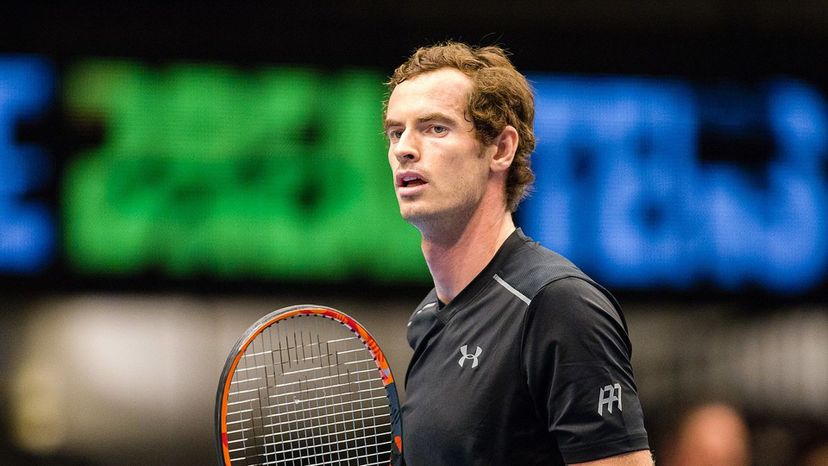 Andy Murray