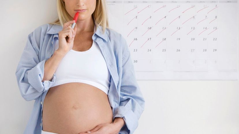 Pregnant by Calendar