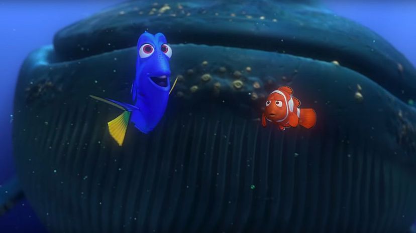 Finding Nemo - A