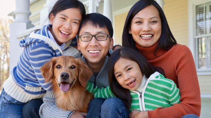 What Dog Breed Is Right for Your Family?
