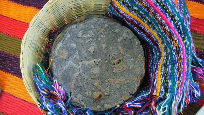 21 tortilla azul