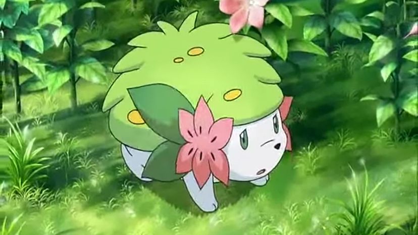 Shaymin