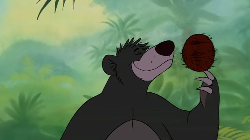 Coconuts from the Jungle Book