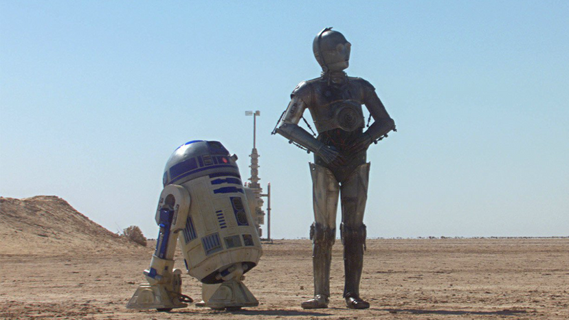 Are You R2-D2 or C-3PO?