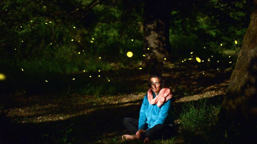 16_Catch fireflies