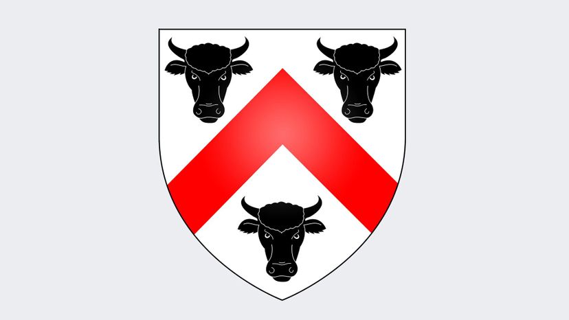 Bull coat of arms